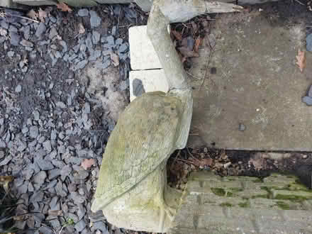 Photo of free Concrete Garden Statues (Colchester CO4) #3