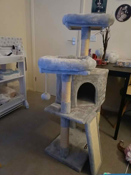 Photo of free Cat tree (AL1) #2