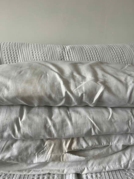 Photo of free 4 bed pillows (NG3 5BQ) #2