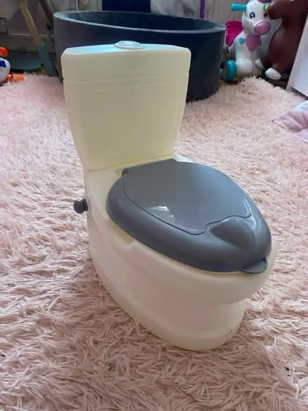 Photo of free Potty (Bromley common) #1
