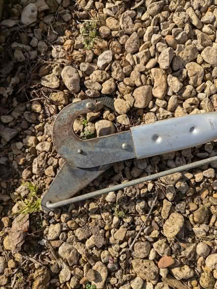 Photo of free Long lopper (Sutton Pools OX14) #2
