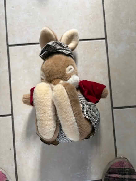 Photo of free Sleeping bunny (Westbury BA13) #1