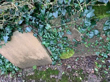 Photo of free Slabs (Penbeagle TR26) #2