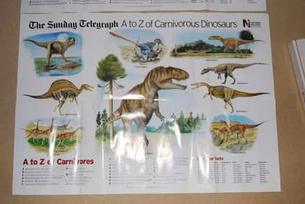 Photo of free 2x Dinosaur Posters (Lee-on-the-Solent PO13) #2
