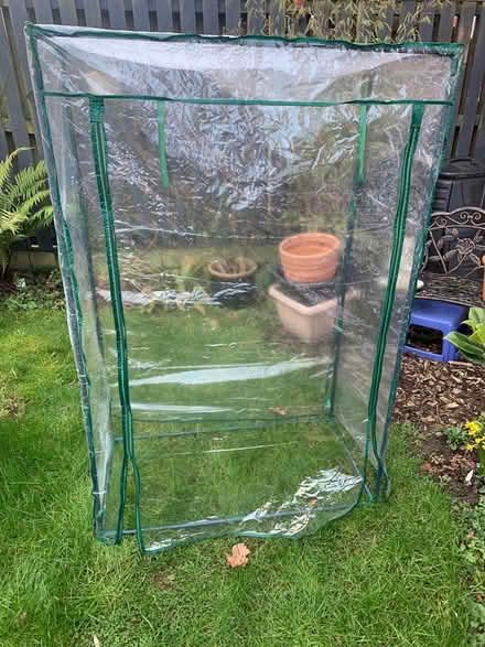 Photo of free Portable patio greenhouse (Colwall Stone WR13) #1