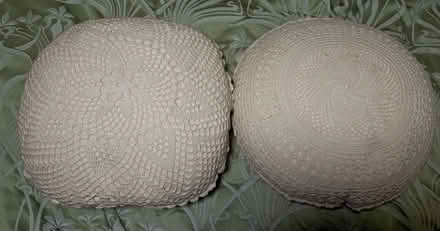 Photo of free 8 cushions (Southsea PO5) #3