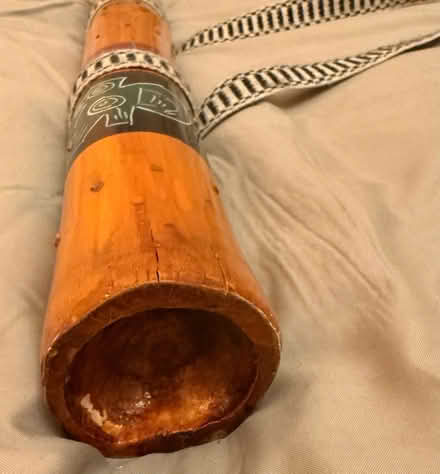 Photo of free South American Rain Shaker (New Southgate, N11) #4