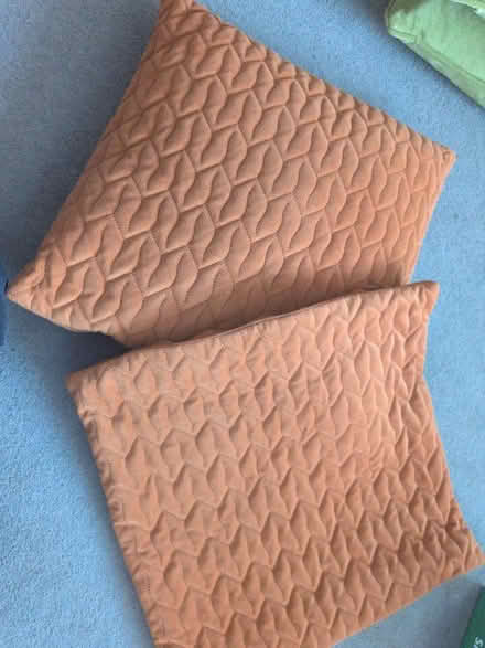 Photo of free Orange cushions (Springfield CM1) #1