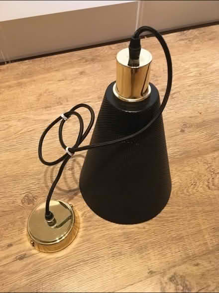 Photo of free Made.com ceiling light (Chippenham SN15) #1