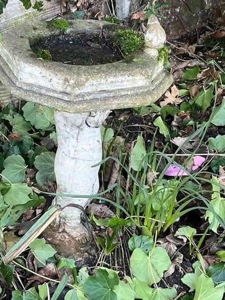 Photo of free garden statue (Southport PR8) #1