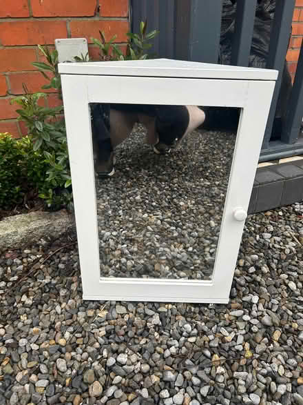 Photo of free Bathroom furniture (Dartry Dublin 6) #3