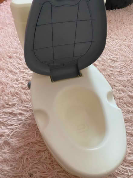 Photo of free Potty (Bromley common) #3