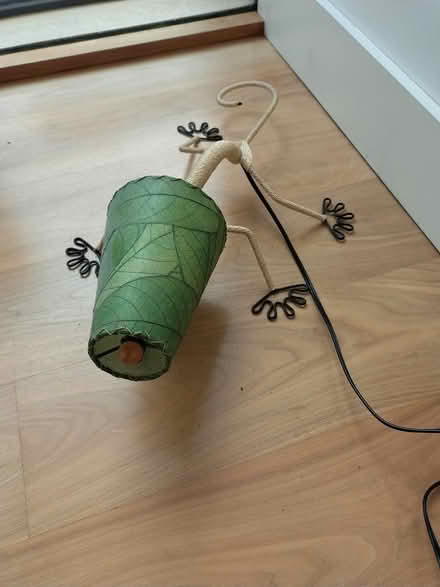 Photo of free Gecko lamp (Petersfield CB2) #2