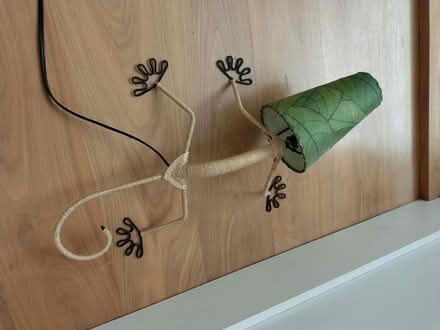 Photo of free Gecko lamp (Petersfield CB2) #1