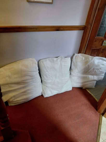 Photo of free Sofa cushions (Barton upon Irwell M30) #2