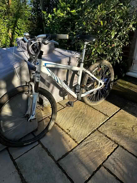 Photo of free Specialised mountain bike (North Bersted PO22) #1