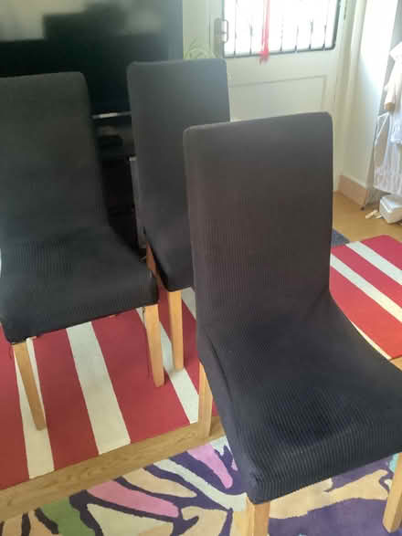 Photo of free Six dining room chairs (Montpelier Road area BN3) #1