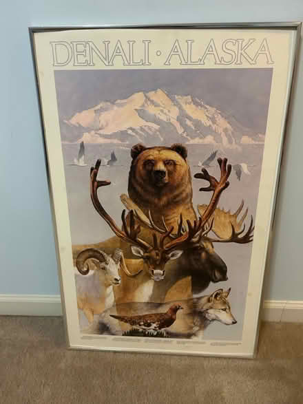 Photo of free Large Framed Poster of Denali (Damascus,MD) #1