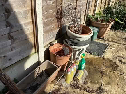 Photo of free Gardening Items (Cheltenham) #1