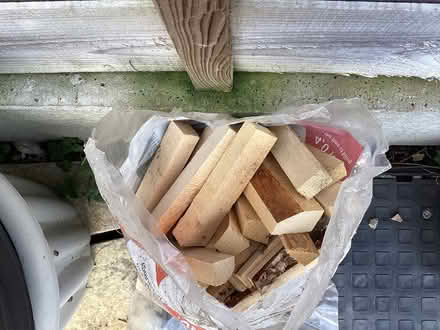 Photo of free Kindling Full Bag (Cheltenham) #2