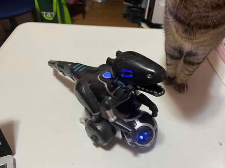 Photo of free Miposaur & Ball (Montlake (98112)) #1