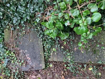 Photo of free Slabs (Penbeagle TR26) #3