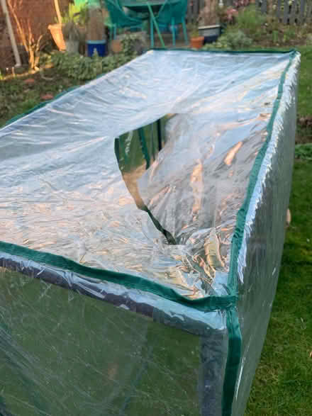 Photo of free Portable patio greenhouse (Colwall Stone WR13) #2