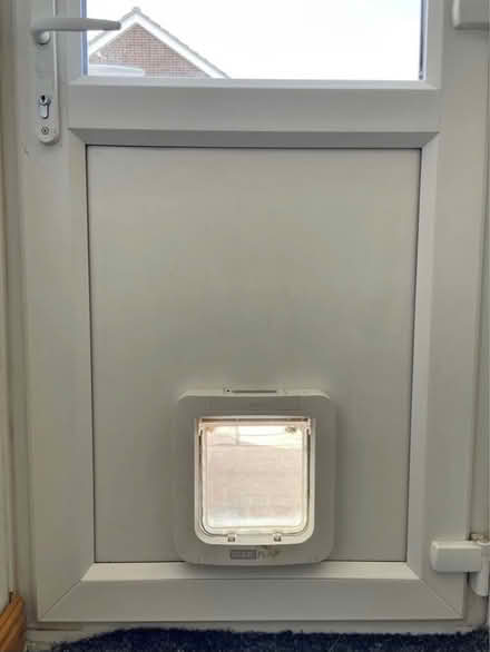 Photo of Panel for back door (Newport Pagnell MK16) #1