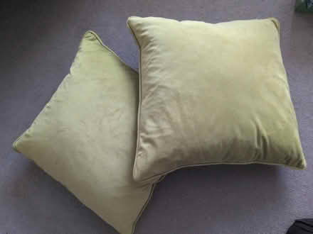 Photo of free Green velvet cushions (Springfield CM1) #1