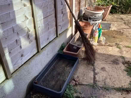 Photo of free Gardening Items (Cheltenham) #3