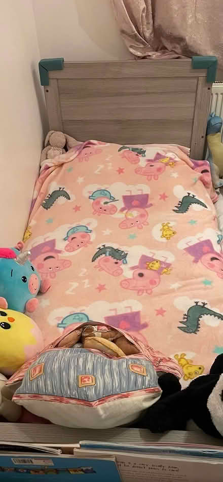 Photo of free Toddler bed (BN16 Rustington) #1