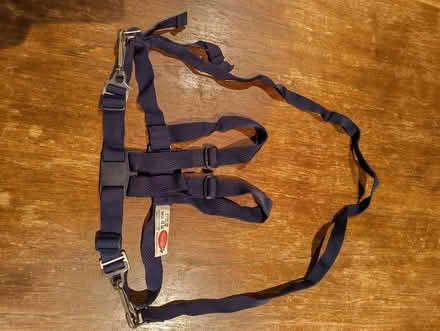 Photo of free Reins for a toddler (Cambridge CB4) #2
