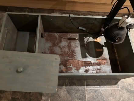 Photo of free Tortoise table (West Marina TN38) #2