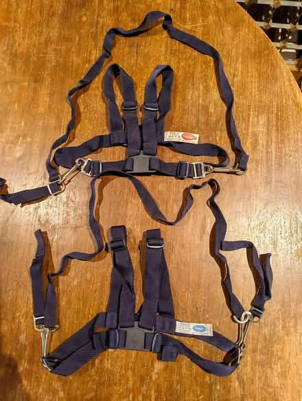 Photo of free Reins for a toddler (Cambridge CB4) #1