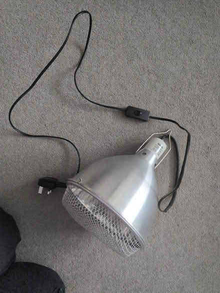 Photo of free Reptile lamp (Springfield CM1) #1