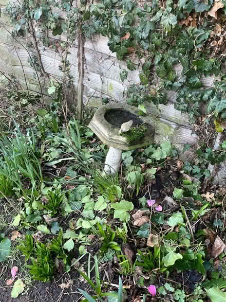 Photo of free garden statue (Southport PR8) #2