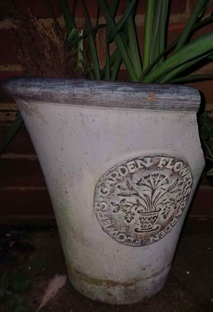 Photo of Plant pot. (Chichester PO19) #1