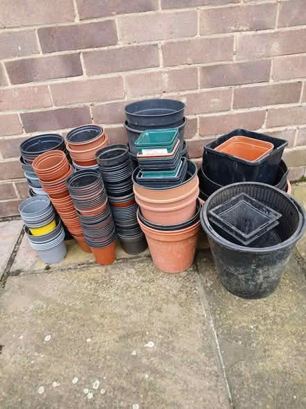Photo of free Mixed Flower pots (Great Baddow) #1