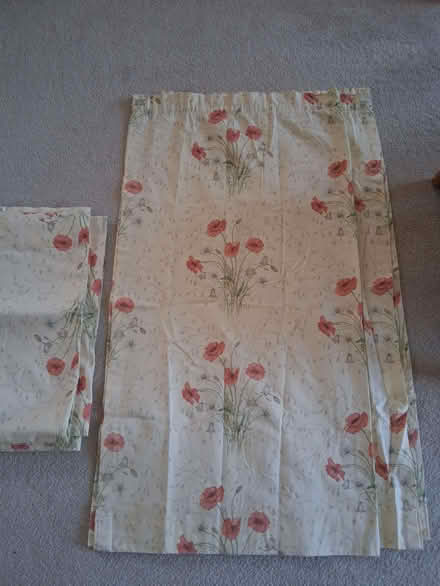 Photo of free Curtains (Northcourt OX14) #1