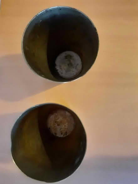 Photo of free Lassi cups (Marston, Oxford OX3) #2