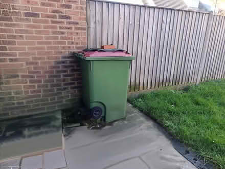 Photo of free Green recycling bin (wallington surrey SM6) #1