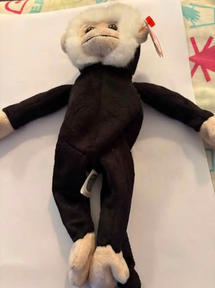 Photo of free TY Monkey (Westbury BA13) #1