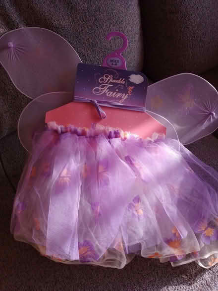 Photo of free Fairy skirt and wings (Great Cornard CO10) #2