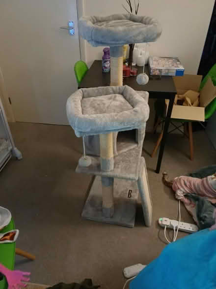 Photo of free Cat tree (AL1) #1