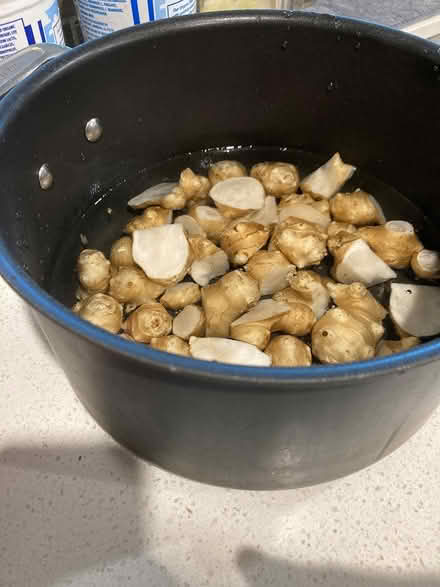 Photo of free Jerusalem artichoke tubers (Arcadia nr Baldwin-Stocker Sch) #3