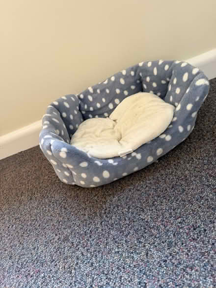 Photo of free Cat bed (Weston) #1
