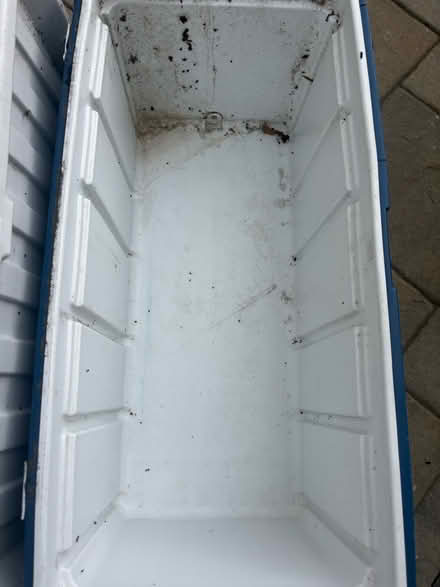 Photo of free Worn down Coleman cooler broken (94087) #2
