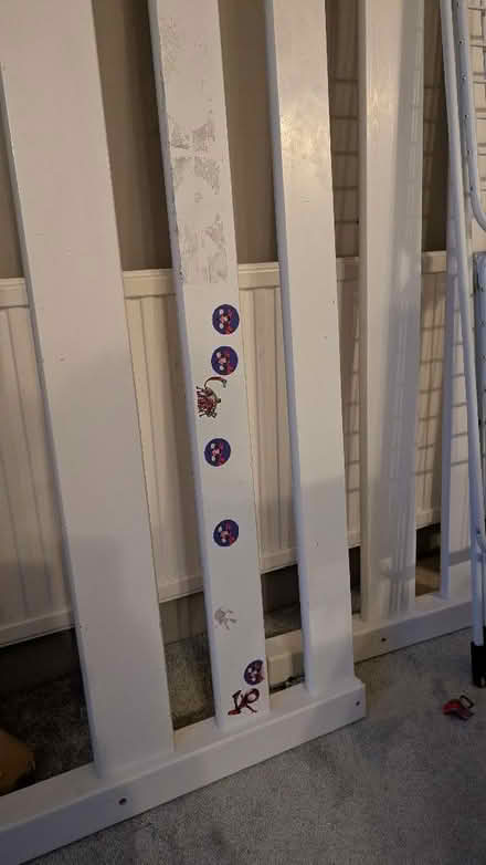 Photo of free Single cabin bed (European single) (Abbey Wood SE2) #3