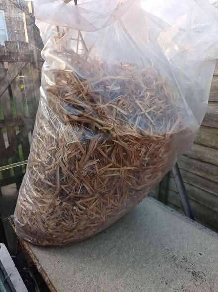Photo of free Bag hay (St Nicholas SG1) #1