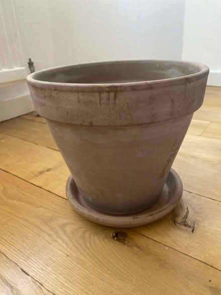 Photo of free Flower pot (Mayfair W1K) #1